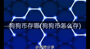 狗狗币存哪(狗狗币怎么存)