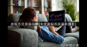 虚拟币交易排行榜(十大虚拟币交易所排名)