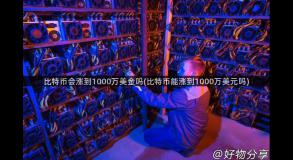 比特币会涨到1000万美金吗(比特币能涨到1000万美元吗)
