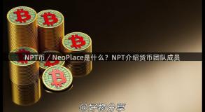 NPT币／NeoPlace是什么？NPT介绍货币团队成员