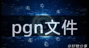 pgn文件