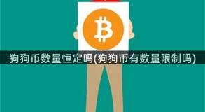 狗狗币数量恒定吗(狗狗币有数量限制吗)
