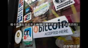 维卡币怎么迟迟不上市(听说维卡币要上市了是真的吗)