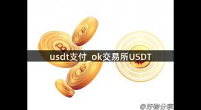 usdt支付_ok交易所USDT