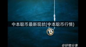 中本聪币最新现状(中本聪币行情)
