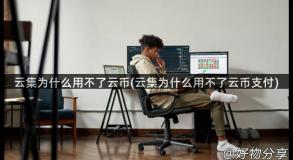 云集为什么用不了云币(云集为什么用不了云币支付)