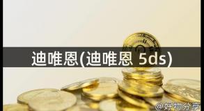 迪唯恩(迪唯恩 5ds)