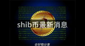 shib币最新消息