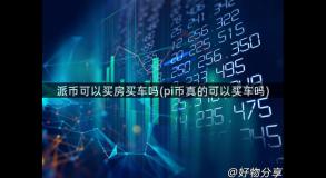 派币可以买房买车吗(pi币真的可以买车吗)