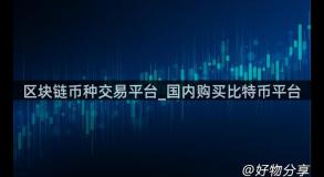 区块链币种交易平台_国内购买比特币平台