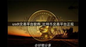 usdt交易平台软件_比特币交易平台正规