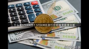 什么是STEEM币？STEEM总发行价和投资前景分析