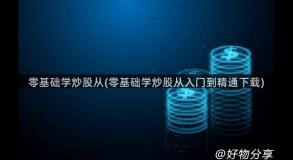 零基础学炒股从(零基础学炒股从入门到精通下载)
