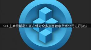 SEC主席根斯勒：正在针对众多加密数字货币公司进行执法