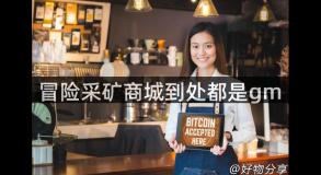 冒险采矿商城到处都是gm