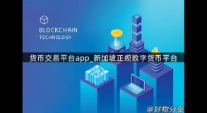 货币交易平台app_新加坡正规数字货币平台
