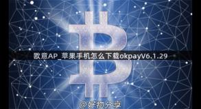 欧意AP_苹果手机怎么下载okpayV6.1.29