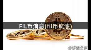 FIL币消息(fil币疯涨)