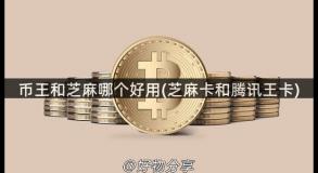 币王和芝麻哪个好用(芝麻卡和腾讯王卡)