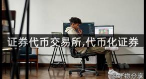 证券代币交易所,代币化证券