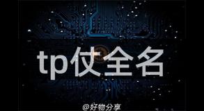 tp仗全名
