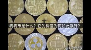 狗狗币是什么？它的价值为何如此飙升？