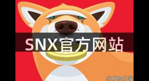 SNX官方网站