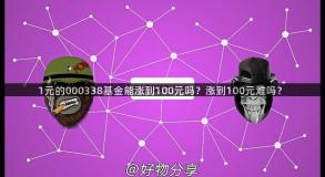 1元的000338基金能涨到100元吗？涨到100元难吗？