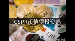 CSPR币值得投资吗