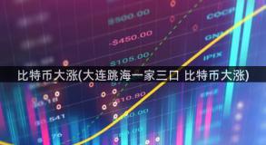 比特币大涨(大连跳海一家三口 比特币大涨)