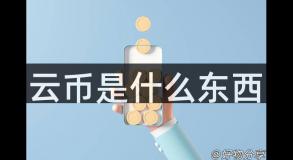 云币是什么东西