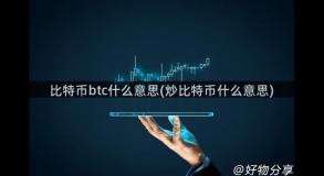 比特币btc什么意思(炒比特币什么意思)