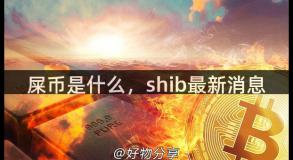 屎币是什么，shib最新消息
