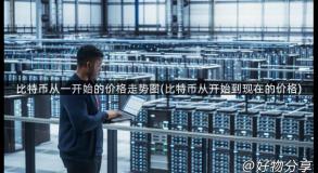 比特币从一开始的价格走势图(比特币从开始到现在的价格)