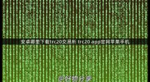 安卓哪里下载trc20交易所 trc20 app官网苹果手机