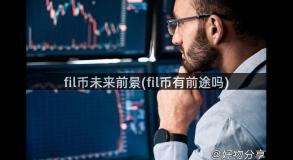 fil币未来前景(fil币有前途吗)