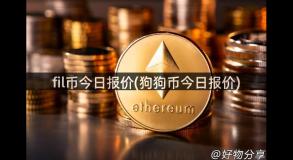 fil币今日报价(狗狗币今日报价)