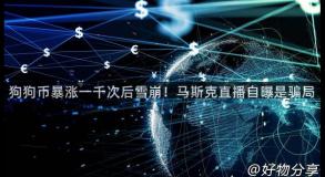 狗狗币暴涨一千次后雪崩！马斯克直播自曝是骗局