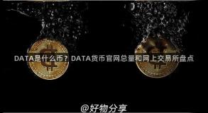 DATA是什么币？DATA货币官网总量和网上交易所盘点