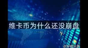 维卡币为什么还没崩盘