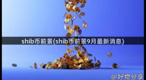 shib币前景(shib币前景9月最新消息)