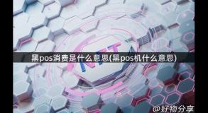 黑pos消费是什么意思(黑pos机什么意思)