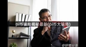 pi币骗局揭秘最新(pi币大骗局)