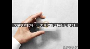 大量收购比特币（大量收购比特币犯法吗）