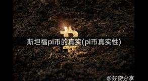 斯坦福pi币的真实(pi币真实性)