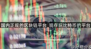 国内正规的区块链平台_现在玩比特币的平台
