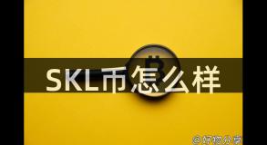 SKL币怎么样