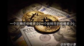一个比特币价格多少(一个比特币的价格多少)