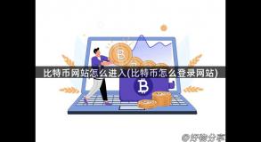 比特币网站怎么进入(比特币怎么登录网站)