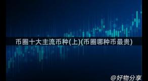 币圈十大主流币种(上)(币圈哪种币最贵)